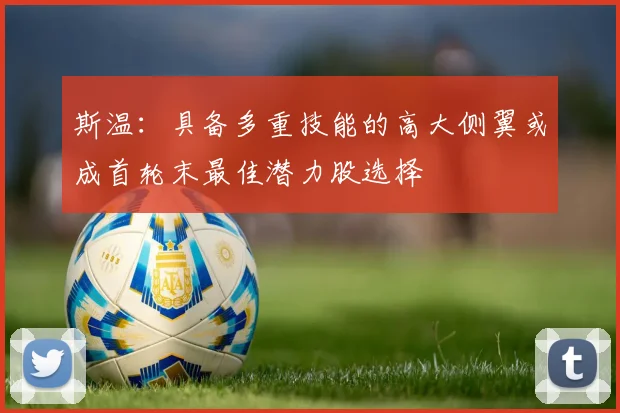 斯温：具备多重技能的高大侧翼或成首轮末最佳潜力股选择